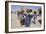 Group of Children in the Town of M'Hamid, Draa Valley, Morocco, North Africa, Africa-Jenny Pate-Framed Photographic Print