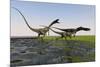 Group of Coelophysis Dinosaurs Running Through Swampy Water-null-Mounted Art Print