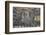 Group of common zebra (plains zebra) (Burchell's zebra) (Equus burchelli) drinking, Mikumi National-James Hager-Framed Photographic Print