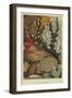 Group of Corals-null-Framed Giclee Print