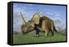 Group of Dinosaurs Grazing in a Grassy Field-Stocktrek Images-Framed Stretched Canvas