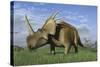 Group of Dinosaurs Grazing in a Grassy Field-Stocktrek Images-Stretched Canvas