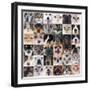 Group of Dogs and Cats-cynoclub-Framed Photographic Print