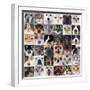 Group of Dogs and Cats-cynoclub-Framed Photographic Print