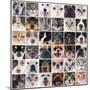 Group of Dogs and Cats-cynoclub-Mounted Photographic Print