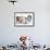 Group Of Dogs Dressed-Up : 5 Chihuahuas And A Shih Tzu-Life on White-Framed Photographic Print displayed on a wall