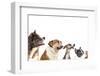 Group of Dogs is Looking Up-Lilun-Framed Photographic Print