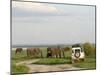 Group of Elephants and Landrover, Chobe National Park, Botswana, Africa-Peter Groenendijk-Mounted Premium Photographic Print