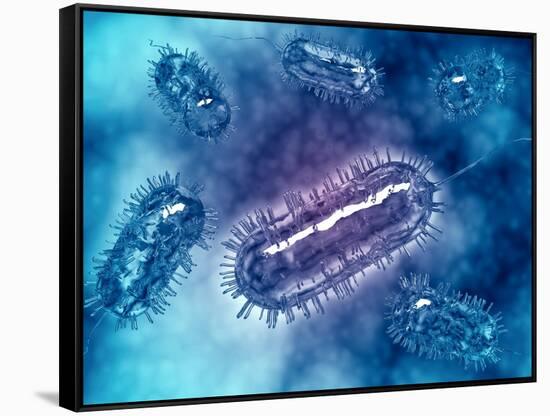 Group of Escherichia Coli Bacteria Cells, known as E. Coli-null-Framed Stretched Canvas