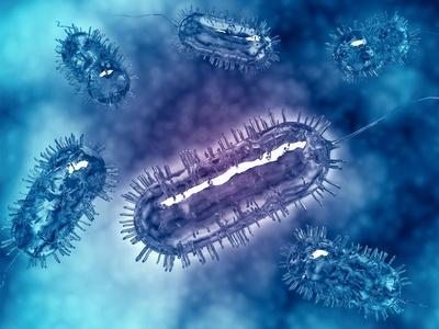 'Group of Escherichia Coli Bacteria Cells, known as E. Coli' Poster ...