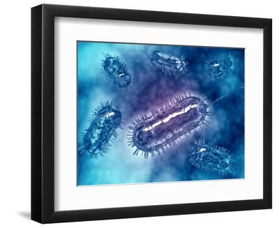 'Group of Escherichia Coli Bacteria Cells, known as E. Coli' Poster ...