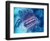 Group of Escherichia Coli Bacteria Cells, known as E. Coli-null-Framed Art Print