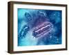 Group of Escherichia Coli Bacteria Cells, known as E. Coli-null-Framed Art Print