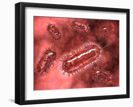 Group of Escherichia Coli Bacteria Cells, known as E. Coli-null-Framed Art Print