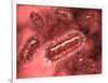 Group of Escherichia Coli Bacteria Cells, known as E. Coli-null-Framed Art Print