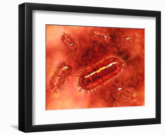 Group of Escherichia Coli Bacteria Cells, known as E. Coli-null-Framed Art Print