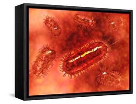 Group of Escherichia Coli Bacteria Cells, known as E. Coli-null-Framed Stretched Canvas