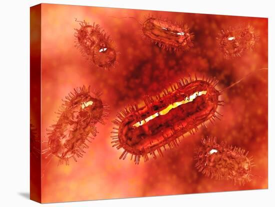 Group of Escherichia Coli Bacteria Cells, known as E. Coli-null-Stretched Canvas