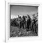 Group of Fairly Well Equipped Male and Female Resistance Fighters, Called the Andartes-Dmitri Kessel-Framed Photographic Print