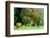 Group of Farmers Harvesting A Giant Cauliflower.-Kirill_M-Framed Photographic Print