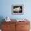 Group of Five Adorable White Fluffy Chinchilla Kittens Lying in a Heap Looking up at Their Owner-Thomas Fall-Framed Photographic Print displayed on a wall