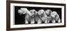 Group of Five Sealyham Puppies Looking Away from the Camera-Thomas Fall-Framed Photographic Print