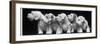 Group of Five Sealyham Puppies Looking Away from the Camera-Thomas Fall-Framed Photographic Print