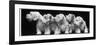 Group of Five Sealyham Puppies Looking Away from the Camera-Thomas Fall-Framed Photographic Print