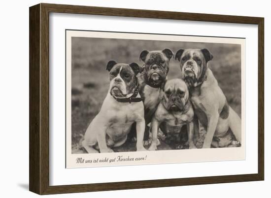Group of Four Bulldogs Sitting Close Together-null-Framed Art Print