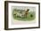 Group of Four Dogs Play a Lively Game of Football One of Them is About to Score a Goal-null-Framed Photographic Print