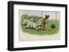 Group of Four Dogs Play a Lively Game of Football One of Them is About to Score a Goal-null-Framed Photographic Print