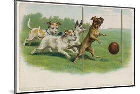 Group of Four Dogs Play a Lively Game of Football One of Them is About to Score a Goal-null-Mounted Photographic Print