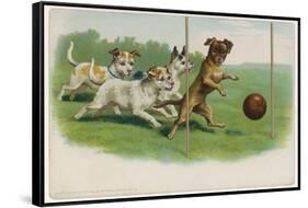 Group of Four Dogs Play a Lively Game of Football One of Them is About to Score a Goal-null-Framed Stretched Canvas