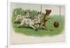 Group of Four Dogs Play a Lively Game of Football One of Them is About to Score a Goal-null-Framed Photographic Print