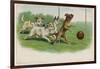 Group of Four Dogs Play a Lively Game of Football One of Them is About to Score a Goal-null-Framed Photographic Print