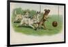 Group of Four Dogs Play a Lively Game of Football One of Them is About to Score a Goal-null-Framed Photographic Print