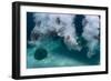 Group of Friends Having Fun by Jumping into Sea-Dudarev Mikhail-Framed Photographic Print