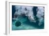 Group of Friends Having Fun by Jumping into Sea-Dudarev Mikhail-Framed Photographic Print
