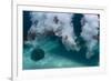 Group of Friends Having Fun by Jumping into Sea-Dudarev Mikhail-Framed Photographic Print