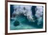 Group of Friends Having Fun by Jumping into Sea-Dudarev Mikhail-Framed Photographic Print