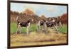 Group of Gascon-Saintongeois Foxhound Crosses-Baron Karl Reille-Framed Art Print