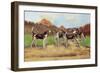 Group of Gascon-Saintongeois Foxhound Crosses-Baron Karl Reille-Framed Art Print