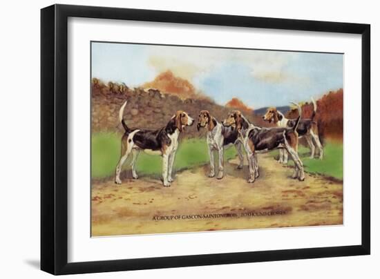 Group of Gascon-Saintongeois Foxhound Crosses-Baron Karl Reille-Framed Art Print