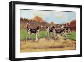 Group of Gascon-Saintongeois Foxhound Crosses-Baron Karl Reille-Framed Art Print