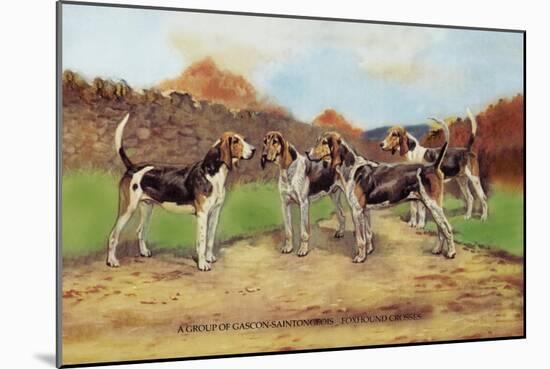 Group of Gascon-Saintongeois Foxhound Crosses-Baron Karl Reille-Mounted Art Print