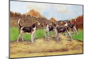 Group of Gascon-Saintongeois Foxhound Crosses-Baron Karl Reille-Mounted Art Print