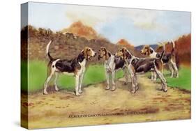 Group of Gascon-Saintongeois Foxhound Crosses-Baron Karl Reille-Stretched Canvas