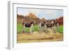 Group of Gascon-Saintongeois Foxhound Crosses-Baron Karl Reille-Framed Premium Giclee Print