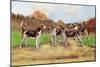 Group of Gascon-Saintongeois Foxhound Crosses-Baron Karl Reille-Mounted Premium Giclee Print