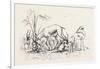 Group of Gazelles. Egypt, 1879-null-Framed Giclee Print